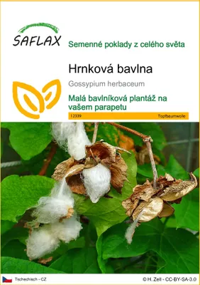 Obrázek produktu pro SAFLAX - hrnková bavlna - Gossypium herbaceum - 12 Semena