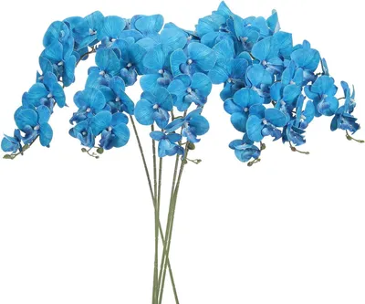 Productafbeelding van Nep Orchidee Stelen - Kunstbloemen - Decoratie Huis - Realistisch Uiterlijk - 105cm - Blauwgroen