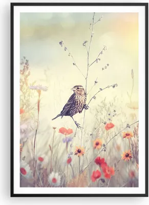 Produktbild von Gerahmtes Poster - Schwarzer Rahmen - Vogel Wildschwein Wiese - 70x100 cm - Wand Bild - Wanddeko - Wandbilder - Wandposter - Bilderrahmen - Bilder - Kunstdruck - Wandbild - P2BPA70x100-4279