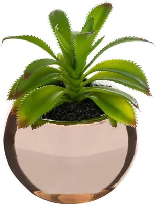 Produktbild von Grünpflanze keramiktopf h.15 - Atmosphera créateur d'intérieur