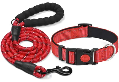 Image de Collier pour chien - Nylon réglable - Néoprène rembourré - Réfléchissant - Laisse 1,5 m