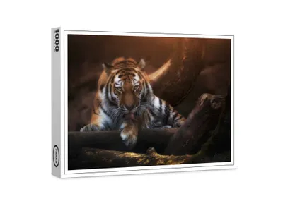 Produktbild von raxxa Premium-Puzzle "I see you", 1000 Teile