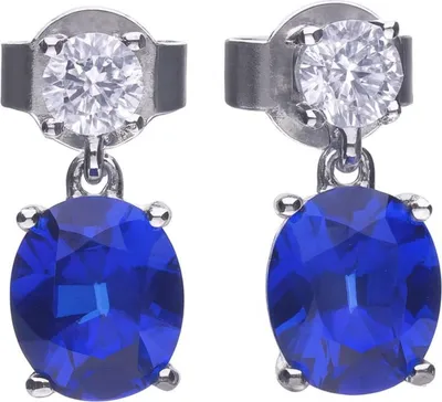 Produktbild von Damenohrringe Diamonfire 6220531089 3 cm