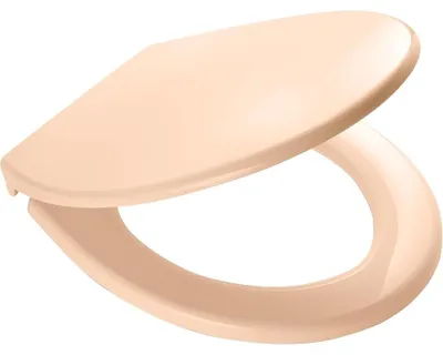 Zdjęcie produktu dla Deska sedesowa RIDDER Miami Beige