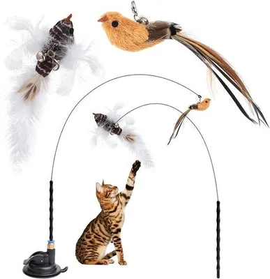 Productafbeelding van Set van 2 Interactief Kattenspeelgoed met Hengel en Zelfbezigheid Speeltje