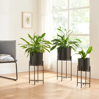 Three black plant stands with plants on them are arranged in a room with a window and a chair.