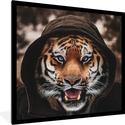 Produktbild von MuchoWow® MuchoWow® Gerahmtes Poster Tiger - Kleidung - Blau 40x40 cm - Poster mit zchwarzem Bilderrahmen - Mit Rahmen - Wanddekoration Schlafzimmer