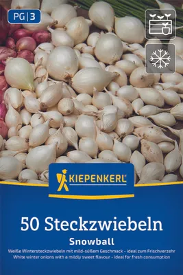Produktbild von Kiepenkerl Wintersteckzwiebel Snowball - weiß Allium cepa 50 Zwiebeln