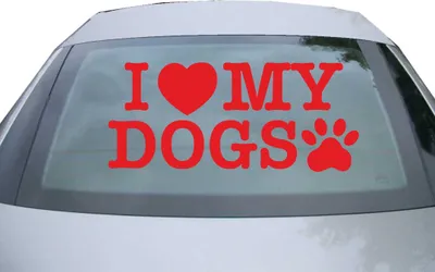 Produktbild von Indigos UG - Aufkleber Heckscheibe & Motorklappe DE2335 - rot - 600x285 mm - I love my dogs - Auto Scheiben Fenster Heckklappe Tuning Racing JDM - Die cut