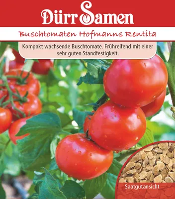 Artikelbild 1 von 'Buschtomate Hoffmanns Rentita' aus der Kategorie Buschtomatensamen