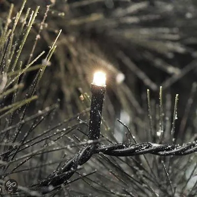 Productafbeelding van Konst Smide Kerstverlichting buiten 3611-140