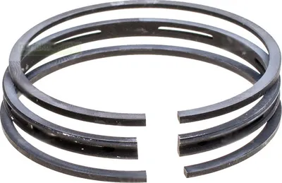Immagine prodotto di Fasce elastiche per Briggs & Stratton 3 CV, 3,5 CV, 3,75 CV - 5 CV / 298982, 399014