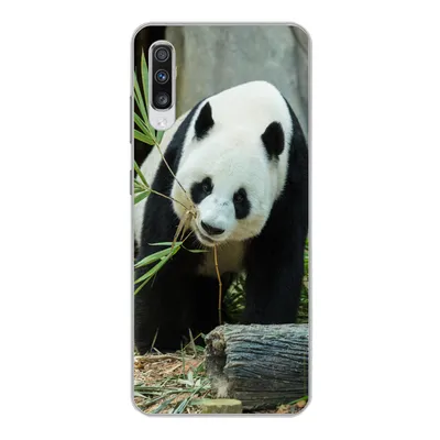 Produktbild von MuchoWow® Handyhülle Schutzhülle Hülle für Samsung Galaxy A70 Panda - Baumstamm - Höhle Silikon Softcase Handy Hülle - Schutzhaube