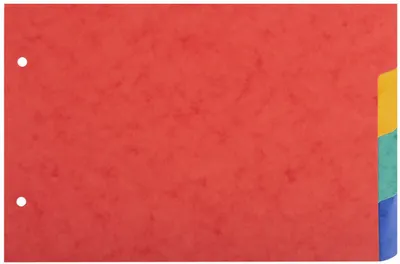 Image de EXACOMPTA  804E EXACOMPTA Karton-Register, 148 x 210 mm, 4-teilig