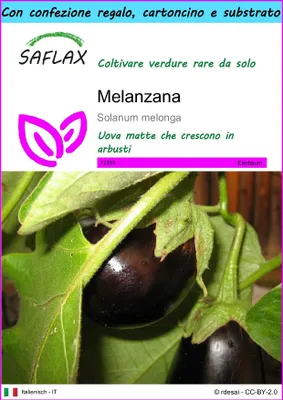 Immagine prodotto di SAFLAX Set regalo - Melanzana - 20 semi - Solanum