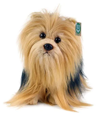 Produktbild von Plüsch Yorkshire Terrier 30 cm umweltfreundlich