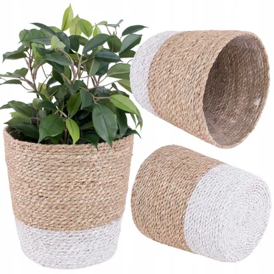 Produktbild von Tajemniczy Ogród Korbmagnolie Blumenübertopf aus Seegras 20 cm Weiß