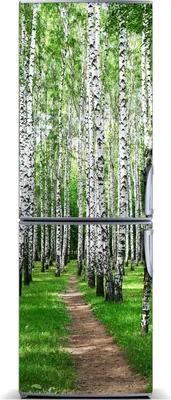 Produktbild von Tulup Kühlschrankdekoration - Magnetmatte - 70 cm x 190 cm - Magnet auf dem Kühlschrank - Birkenwald