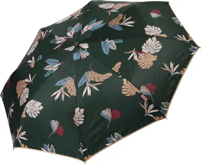 Produktbild von Taschenschirm Damen Exklusiv Dunkelgrün