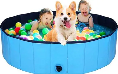 Produktbild von Famanu Hundepool - Faltbar, Tragbar, Antirutsch - PVC (80 x 20 cm)