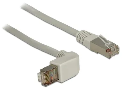 Image de DELOCK Patchkabel gewinkelt RJ45 S/STP Cat6A 1.00m grau