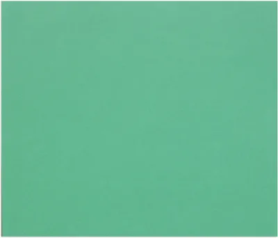 Produktbild von Clairefontaine Zeichenpapier Tulipe 50x65 cm 160g, Pkg 25 Bl Dunkelgrün 960178C