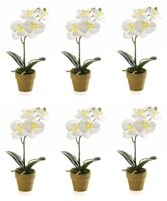 Produktbild von 6er Set künstliche Mini Orchideen weiß im Papiertopf H. 25cm Emerald Kunstblume