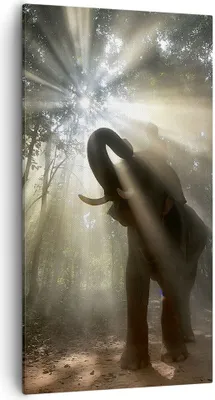 Produktbild von Bild auf Leinwand - Leinwandbild - Elefant Dschungel  - 55x100cm - Wand Bild - Wanddeko - Leinwanddruck - Bilder - Kunstdruck - Wanddekoration - Leinwand bilder - Wandkunst - PA55x100-3835