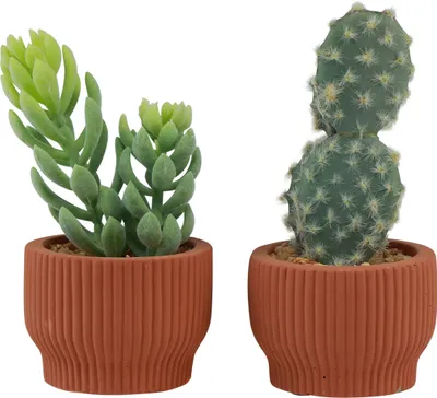 Produktbild von 2er Set Künstliche Sukkulenten und Kakteen inklusive Tontöpfchen - Täuschend Echte Kunstpflanzen Deko 14,5/15,5cm, 2 Stück