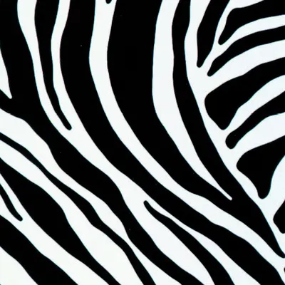 Produktbild von Klebefolie - Möbelfolie Zebra - schwarz weiss -  45 cm x 200 cm Wildlife