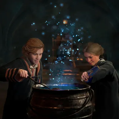 Zdjęcie produktu dla Warner Bros. Games Hogwarts Legacy, Nintendo Switch, Powyżej 13 lat, Nośnik fizyczny