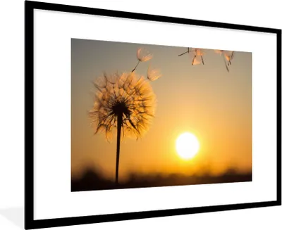 Produktbild von MuchoWow® Gerahmtes Poster Löwenzahn - Sonne - Sonnenuntergang 90x60 cm - Poster mit Schwarzem Bilderrahmen Wandposter Rahmen Foto Bilder - Wanddekoration - Fotos