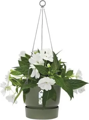 Image de Pot de fleurs à suspendre ELHO Greenville, Ø 23,9 x H 20,3 cm, 6,4 L, Extérieur, Vert feuille
