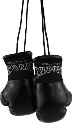 Produktbild von Dynamix Athletics Autospiegel Mini Boxhandschuhe Carbonix(Schwarz)