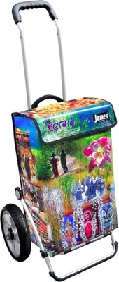 Produktbild von James Einkaufstrolley - KERALA - stabiler Einkaufswagen mit individuellem Design - einfarbig: grün in Ausführung: Royal-Leichtraeder