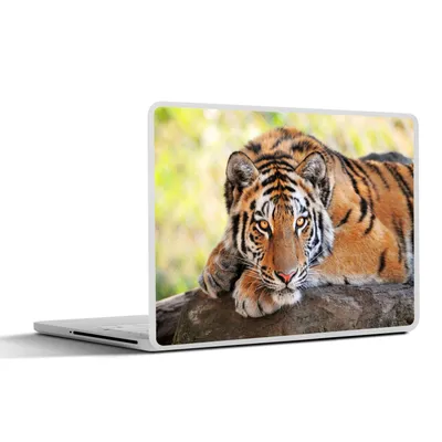 Produktbild von MuchoWow® Laptop Aufkleber Sticker Cover Tiger - Welpe - Rüssel 30x22 cm - Laptop-Sticker