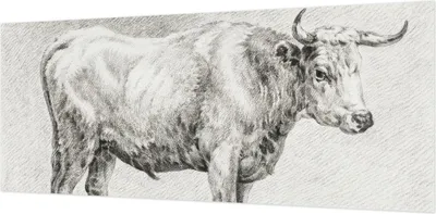 Zdjęcie produktu dla Tapeta ścienna – tapeta dekoracyjna do salonu – folia tapetowa do dekoracji ścian – 208 x 146 cm – Bullenstift