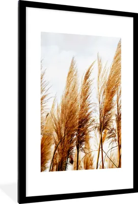 Produktbild von MuchoWow® Gerahmtes Poster Pampasgras - Sonne - Gras 60x90 cm - Poster mit Schwarzem Bilderrahmen Wandposter Rahmen Foto Bilder - Dekoration - Wandposter Wohnzimmer - Hochwertig