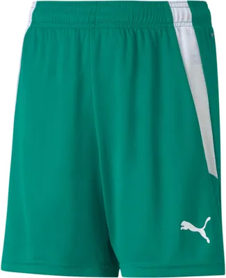 Immagine prodotto di Pantaloni Puma Teamliga 70493105