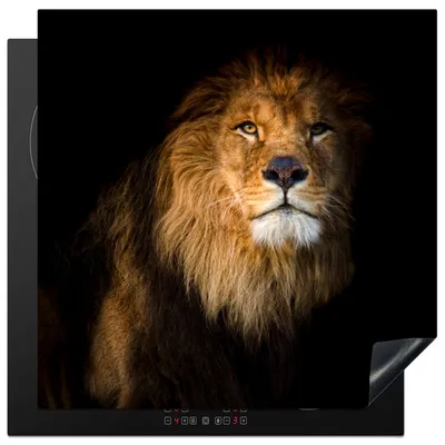 Produktbild von KitchenYeah© Herdabdeckplatte Löwe - Licht - Schwarz - Porträt , 78x78cm, Küche Deko, Glaskeramikkochfeld Herdabdeckung, Abdeckplatte fùr Kochfeld