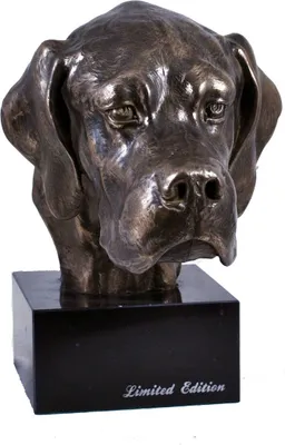 Produktbild von English Pointer, Englischer Pointer - Hundestatue, Büste auf Steinsockel, Skulptur, Trophäe für Hundeausstellung der Marke Art-Dog