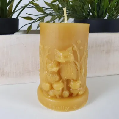 Produktbild von Bienenwachskerze runde Katzenkerze 8,5 cm