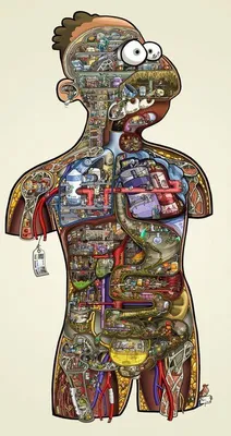 Produktbild von Human Project lebensgroß Cartoonposter