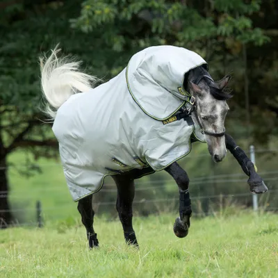 Obrázek produktu pro Horseware Rambo Duo Bundle 100g + 100g + 300g - Grey/Teal, 160 ks