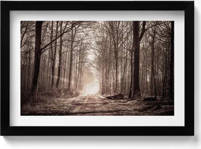Produktbild von Waldweg in Sepia-Farben– Wandbild mit Rahmen – Gerahmtes Bild  – Wanddekoration – 30x20 cm –  Schwarz Rahmen