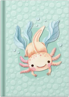 Produktbild von RNK Verlag Notizbuch "Axolotl" DIN A5 96 Blatt kariert