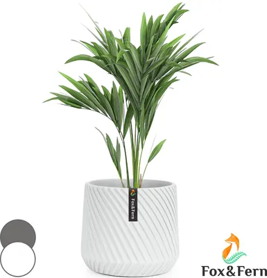 Image de Fox & Fern Pot de Fleur Interieur et Extérieur, Jardinieres Exterieur, Pot Plante Résistant UV et Gel avec Bouchon de Drainage, Polystone, Jardiniere, Pot de Fleur Exterieur Grande Taille, Pot Unique