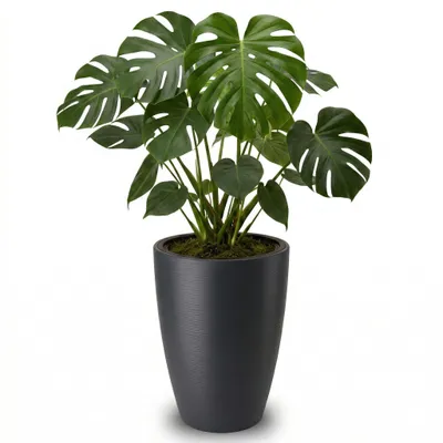 Produktbild von Großer Outdoor Blumentopf CALMO schwarz in 29 x 48 cm
