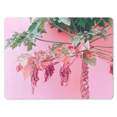 Produktbild von MuchoWow® Mauspad Mousepad Palme - Tropisch - Rosa - Sommer 40x30 cm - Mousepads - Maus Mat - Pad - Mausunterlage - Anti Rutsch