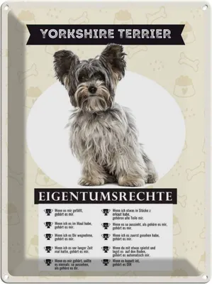 Produktbild von vianmo Blechschild 40x30 cm Yorkshire Terrier Eigentumsrechte Tier Haustier Hund